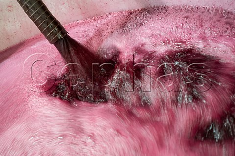 Pumping over fementing grape must at Chteau de la Rivire La Rivire Gironde France Fronsac  Bordeaux