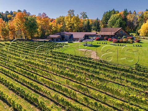 Buttonwood Grove Winery Visitor Centre and vineyard  Romulus New York USA Finger Lakes