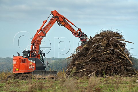 Grubbing up and burning vines at NaujanetPostiac  Gironde France  EntreDeuxMers  Bordeaux