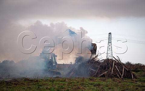 Grubbing up and burning vines at NaujanetPostiac  Gironde France  EntreDeuxMers  Bordeaux