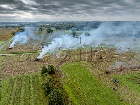 Grubbing up and burning vines at NaujanetPostiac  Gironde France  EntreDeuxMers  Bordeaux