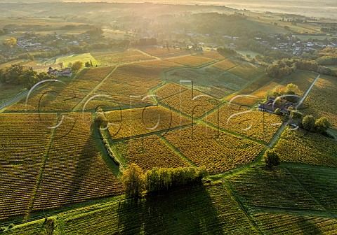 Autumnal vineyards at SainteCroixDuMont  Gironde France EntreDeuxMers  Bordeaux