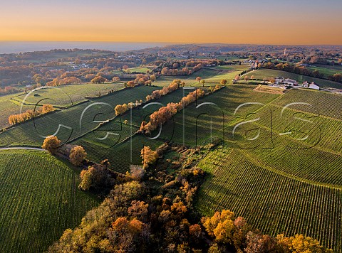 Vineyards of Chteau de Pic at sunset Le Tourne Gironde France Cadillac Ctes de Bordeaux   Premires Ctes de Bordeaux