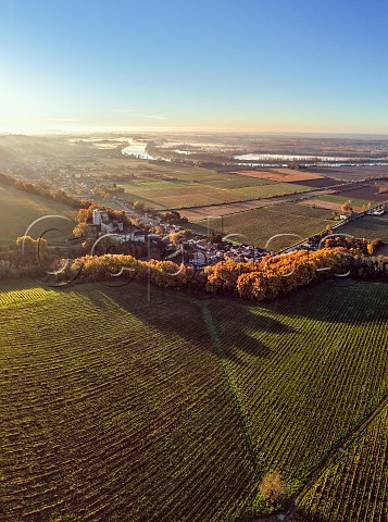 Vineyards of Chteau de Langoiran at sunrise with the Garonne River beyond HautLangoiran Gironde France Cadillac Ctes de Bordeaux   Premires Ctes de Bordeaux