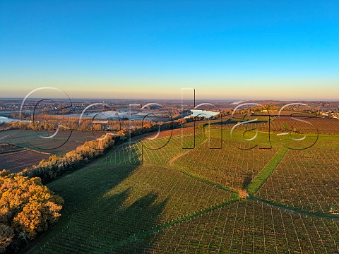 Vineyards of Chteau de Langoiran at sunrise with the Garonne River beyond HautLangoiran Gironde France Cadillac Ctes de Bordeaux   Premires Ctes de Bordeaux