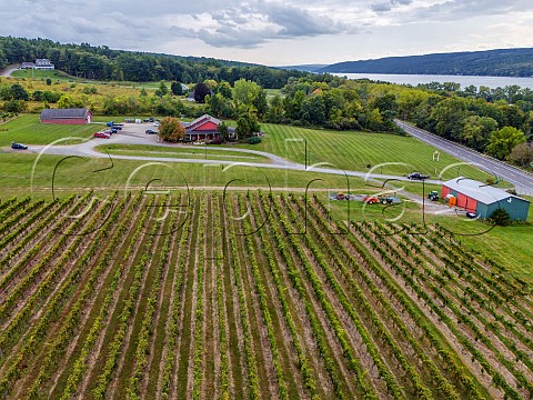 Rooster Hill Vineyards with Keuka Lake beyond Penn Yan New York USA Finger Lakes