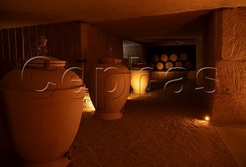Amphora in cellar of Chteau de Sours SaintQuentinduBaron Gironde France EntreDeuxMers  Bordeaux