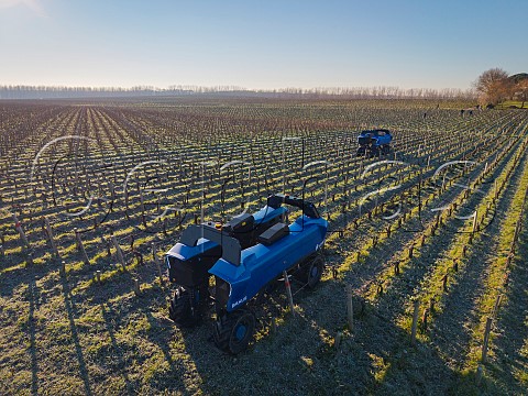 Vitibot Bakus autonomous electric straddle vehicles in vineyard of Chteau de Camensac  Saint Laurent Mdoc Gironde France Mdoc  Bordeaux