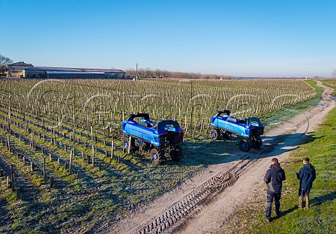 Vitibot Bakus autonomous electric straddle vehicles in vineyard of Chteau de Camensac  Saint Laurent Mdoc Gironde France Mdoc  Bordeaux