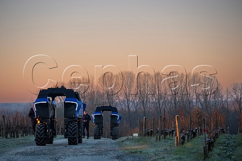 Vitibot Bakus autonomous electric straddle vehicles in vineyard of Chteau de Camensac  Saint Laurent Mdoc Gironde France Mdoc  Bordeaux