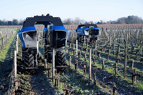 Vitibot Bakus autonomous electric straddle vehicles in vineyard of Chteau de Camensac  Saint Laurent Mdoc Gironde France Mdoc  Bordeaux