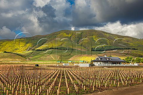 Bien Nacido building their newlyplanted vineyard Santa Maria Santa Barbara County California Santa Maria Valley