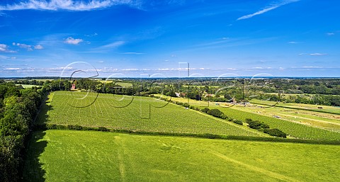 Levels Vineyard of Black Chalk Fullerton Hampshire England