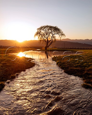 Ruakanakana Creek flowing through Oyster Bays Sauvignon Blanc vineyards It transports water from the Wairau River to the pumping stations for the Southern Valleys Irrigation Scheme   Marlborough New Zealand Wairau Valley