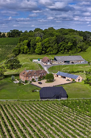 The Wooldings vineyard of Coates  Seely Whitchurch Hampshire England