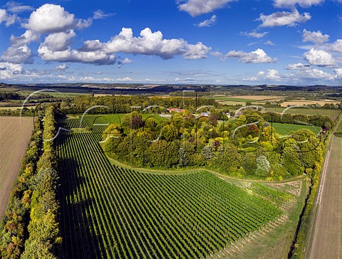 Bluestone Vineyards Cholderton Wiltshire England