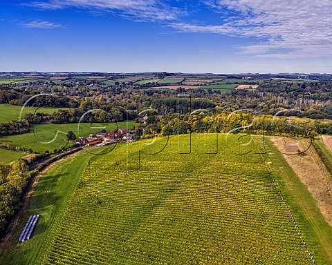 Leckford Estate Vineyard with crates ready for harvest and the Test Valley beyond Leckford Hampshire England