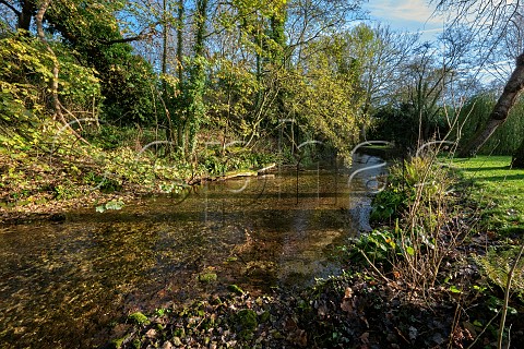 Cephas Picture Library - Asset Details 1244391- Pillhill Brook at ...