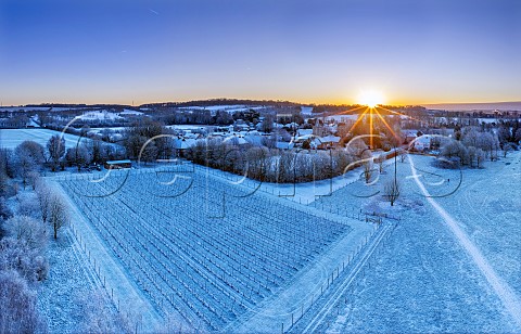 Snowy sunrise at Goodworth Clatford Vineyard Goodworth Clatford near Andover Hampshire England