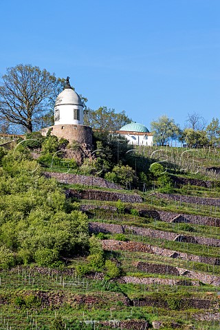 Jacobstein pavilion and the Adolph Diesterweg Observatory above the Wackerbarthberg vineyard at Schloss Wackerbarth Winery Radebeul Germany Sachsen
