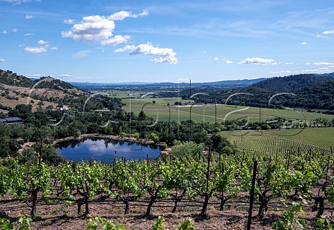 Shafer Vineyards Napa Valley California Stags Leap AVA