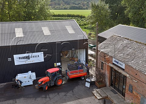 Pinot Noir grapes being unloaded at Black Chalk winery Cottonworth Hampshire England
