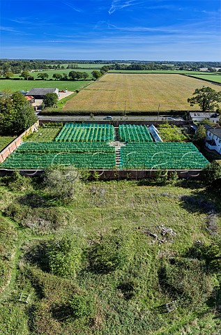 Bird netting on walled vineyard of Charlie Herring In foreground is the 100year old cider orchard Lymington Hampshire England